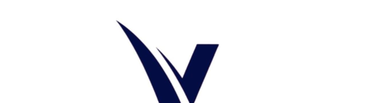 Official Vialmi Team