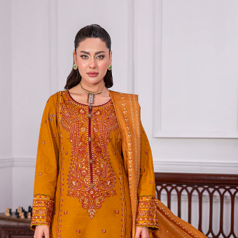 Pakistani Mehndi Dresses