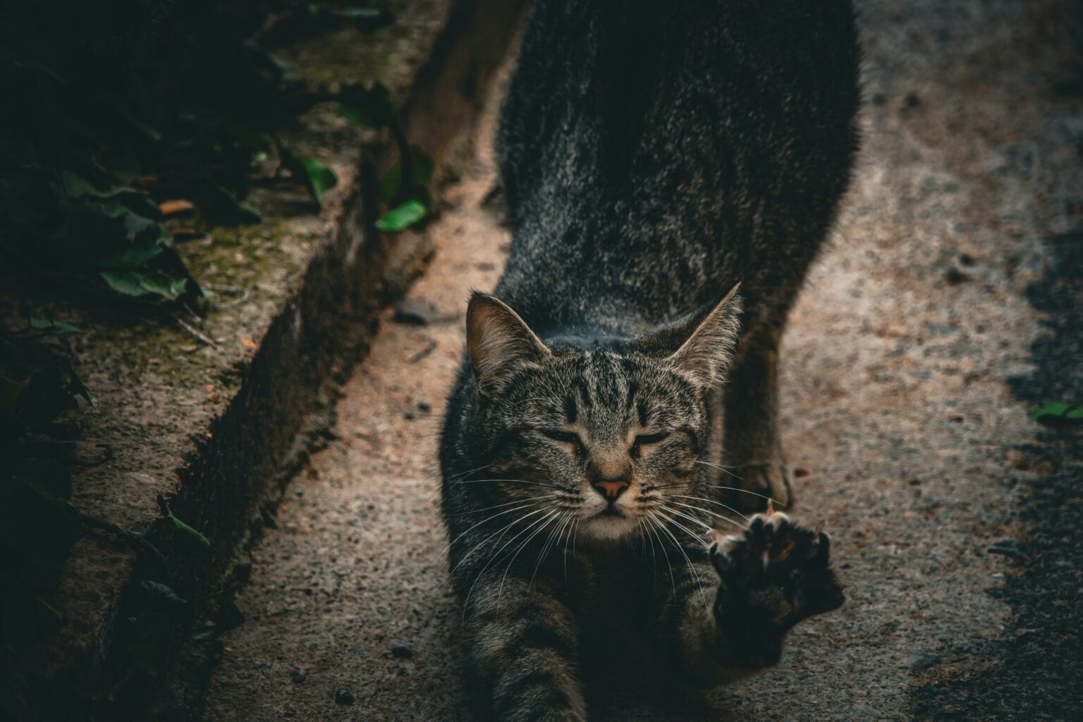 vlm_c4059d8f267c2483c8e4b52191ec75f3.png