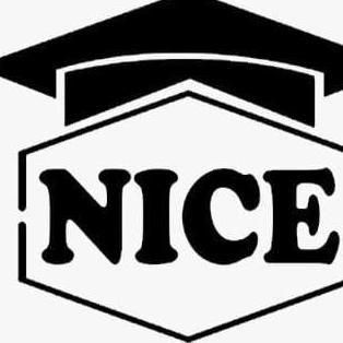 Nice It Services