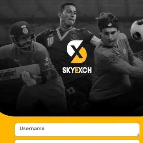 Sky Exchangee