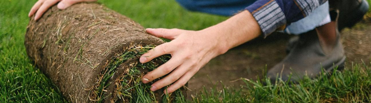 Texas Sod Pros