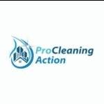 Pro Cleaning Action  LLC