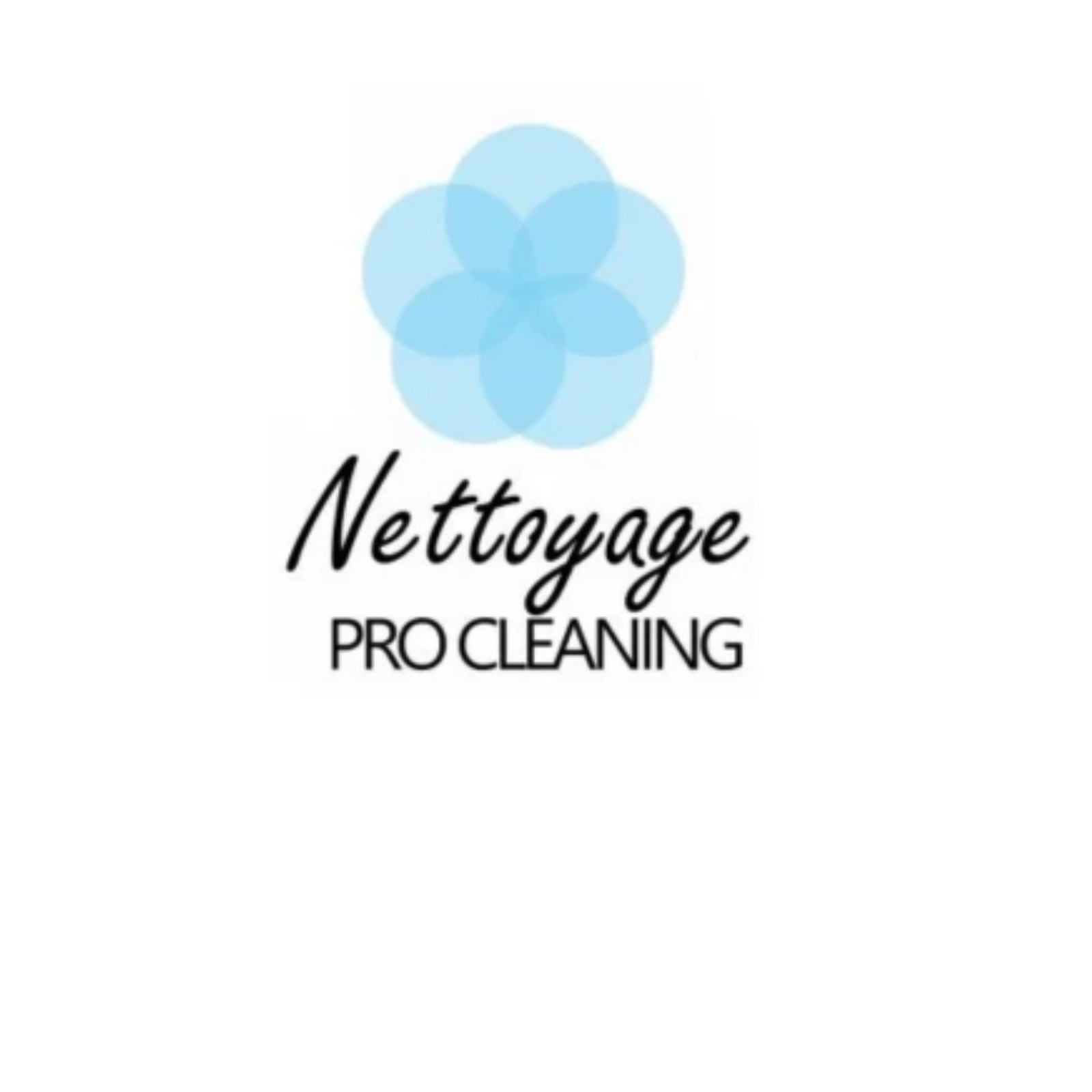 Nettoyage Pro Cleaning