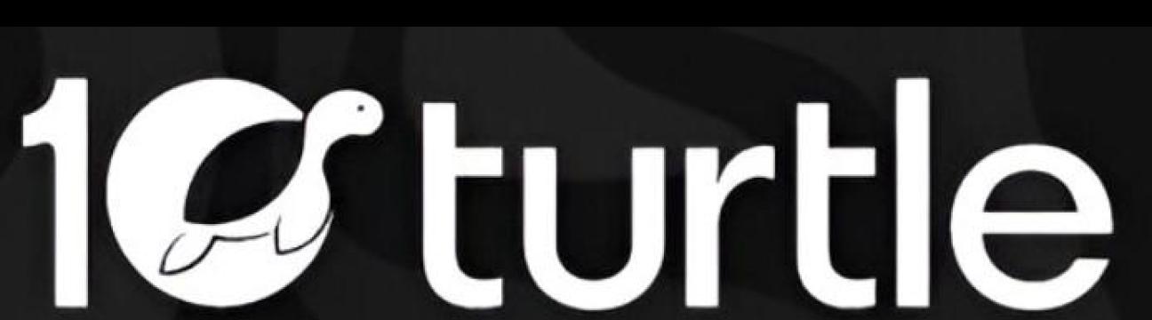 10turtle Global