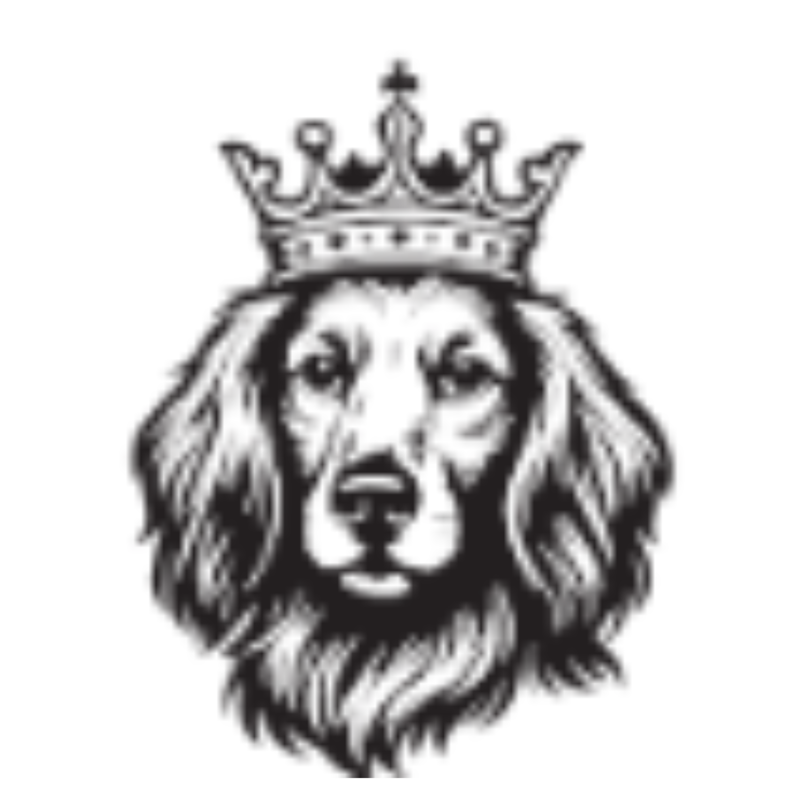 Tudor Energy LLC