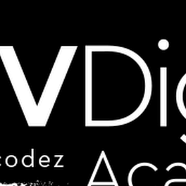 Aviv Digital