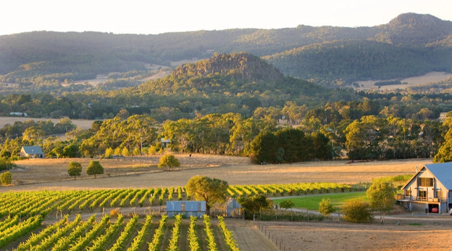Bendigo Guided Tours