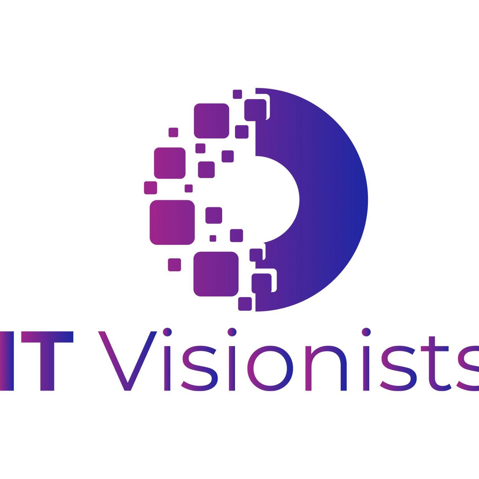 IT  Visionists